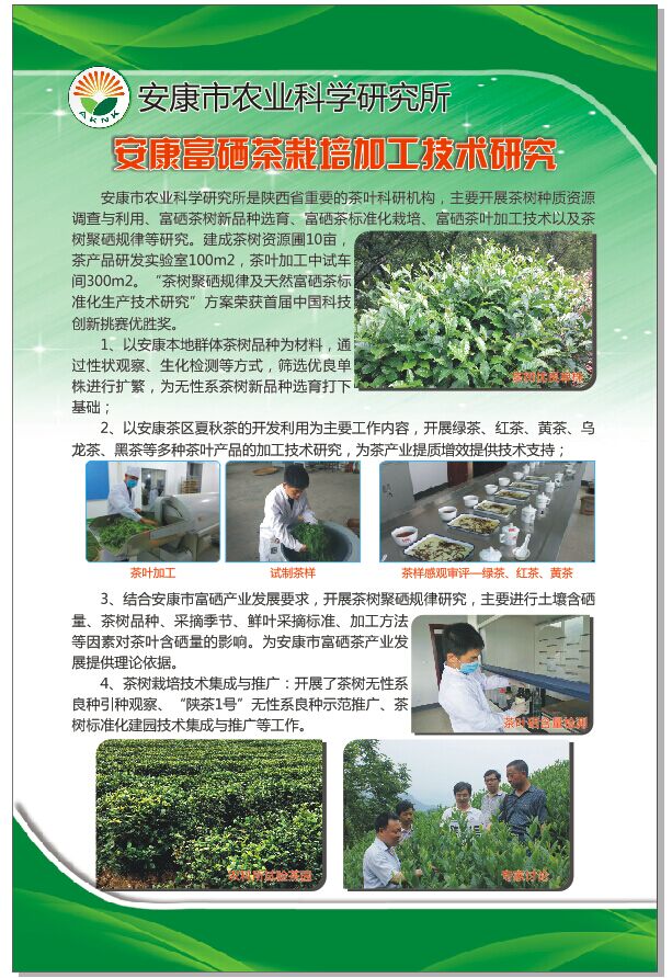 安康富硒茶栽培加工技术研究