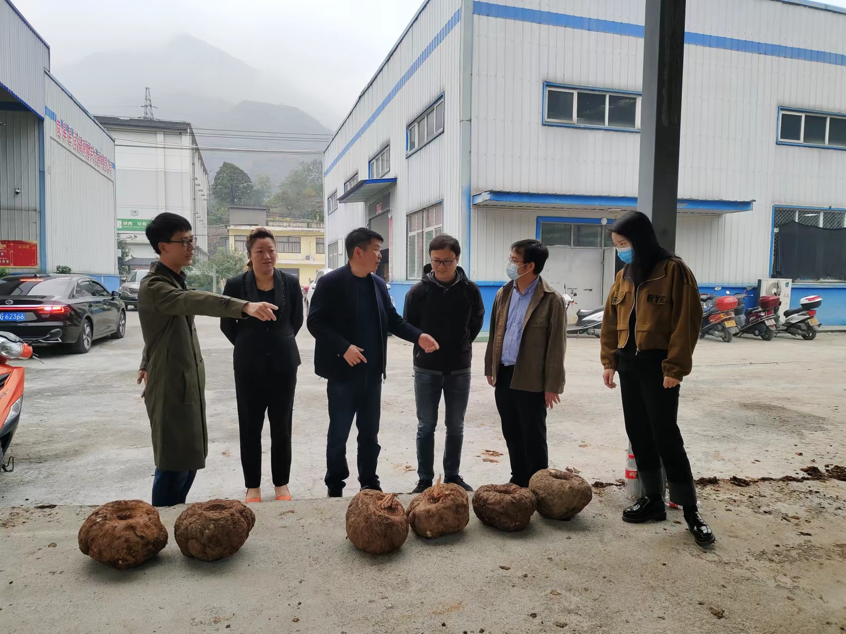 国家科技特派团魔芋产业组赴岚皋县开展科技服务