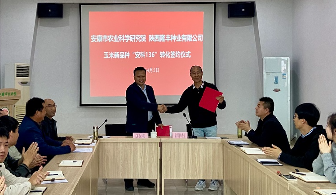 安康市农业科学研究院与陕西隆丰种业有限公司签约玉米新品种转化协议
