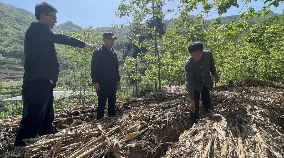 市农科院赴旬阳、白河指导魔芋春耕生产