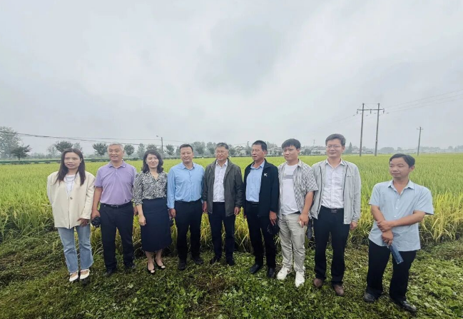 市农科院参加2025年新品种新技术现场观摩暨水稻大面积增产增效技术研讨会