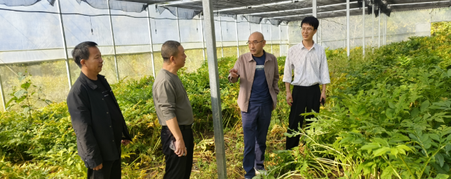 市农科院赴镇坪县帮扶村调研指导产业建设