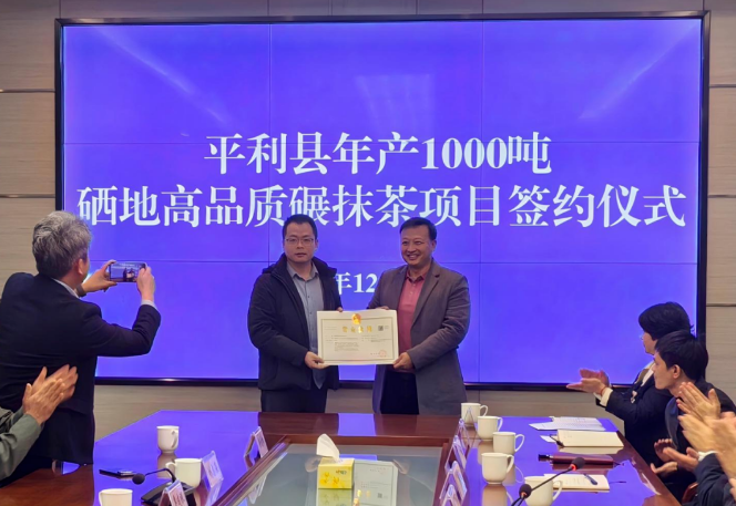 市农科院助力抹茶产业落户平利