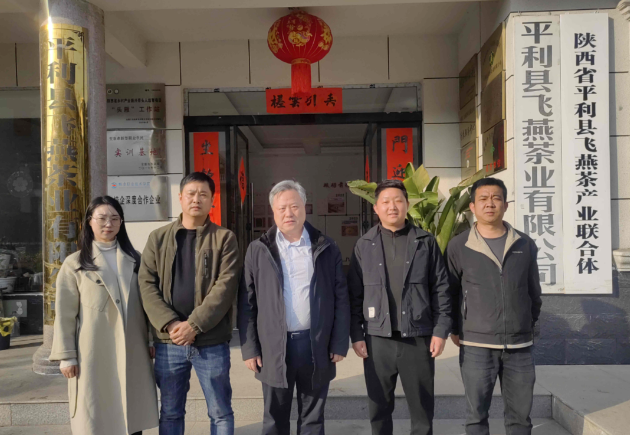 ‌市农科院富硒（碾）抹茶研究团队赴平利县开展调研与技术指导