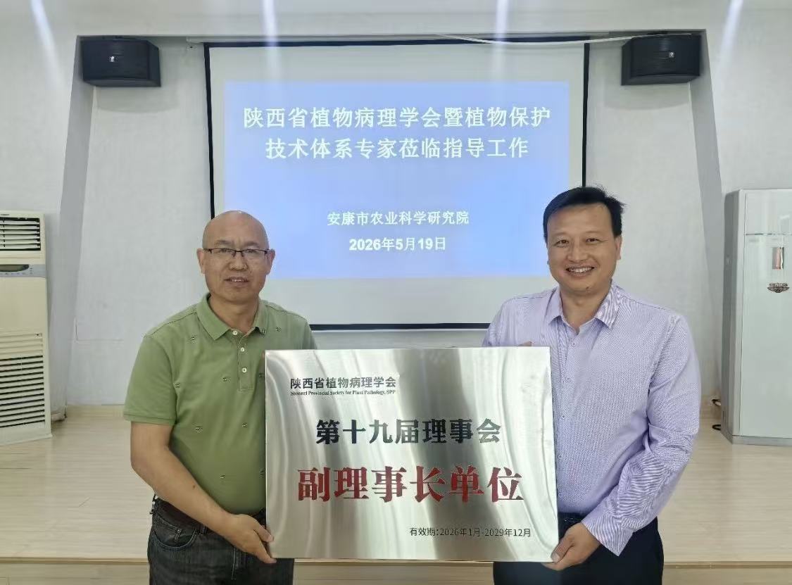 市农科院参加陕西省马铃薯产业技术体系岗位聘任暨田间观摩研讨会