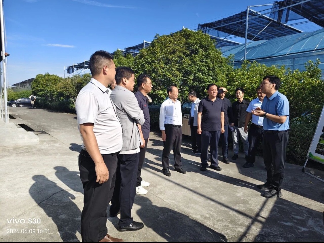 榆林市决咨委来安考察调研食用菌产业