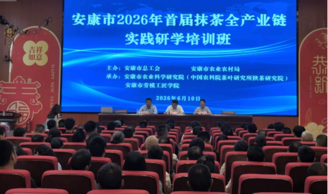 安康2026年首期抹茶全产业链实践研学培训班圆满收官